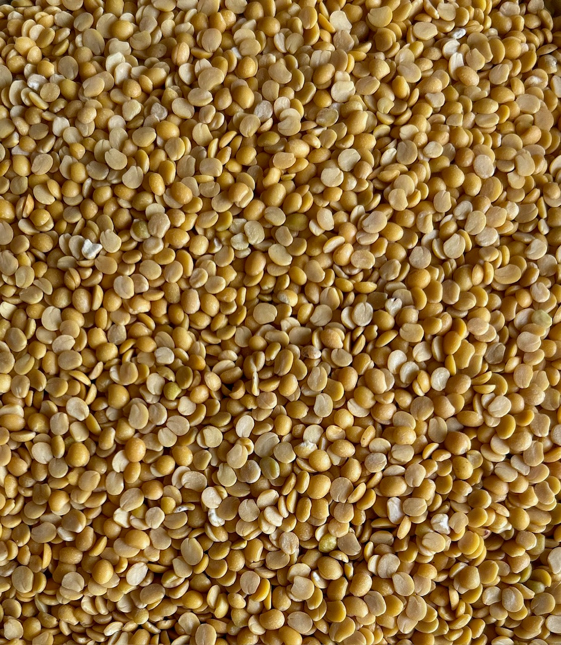 Toor Dal - 500 g