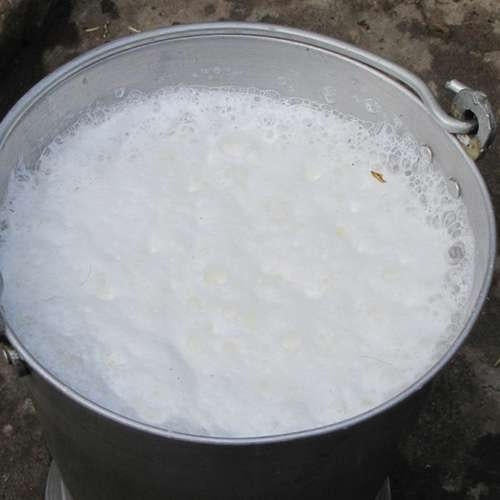 Pure Buffalo Milk in Steel cans - 1 Ltr